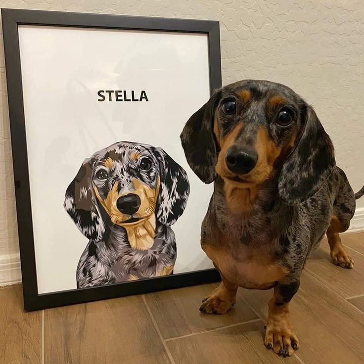 Cuadro mascota personalizado