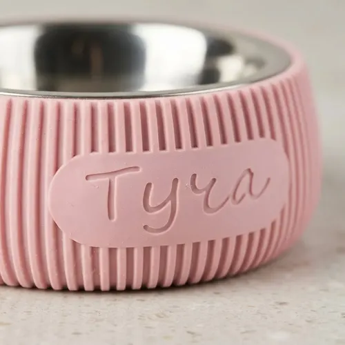 Comedero Mascotas Personalizados Moderno Estetico Rosa Pálido
